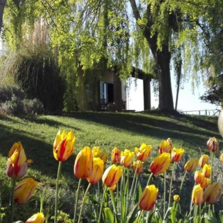 Agriturismo Quartopodere Villa Magliano in Toscana Eksteriør billede