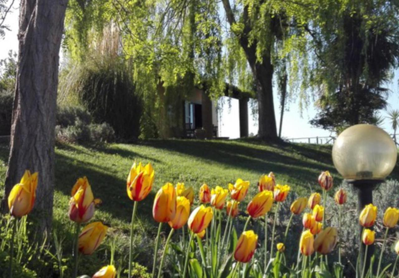 Agriturismo Quartopodere Villa Magliano in Toscana Eksteriør billede