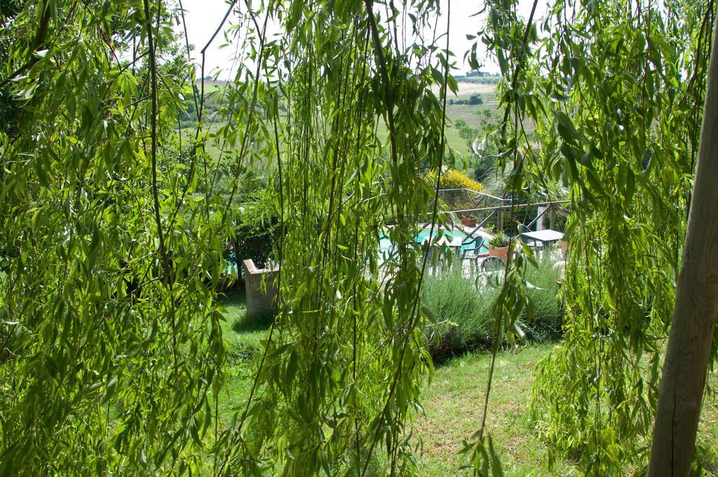 Agriturismo Quartopodere Magliano in Toscana Eksteriør billede