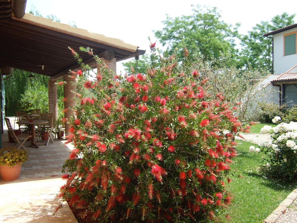 Agriturismo Quartopodere Villa Magliano in Toscana Eksteriør billede